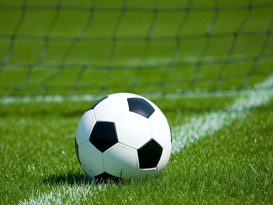 开云体育官网登入-Chinese Taipei出色表现,2024年世界杯赛场表现分析,2024年足球世界杯 第3张